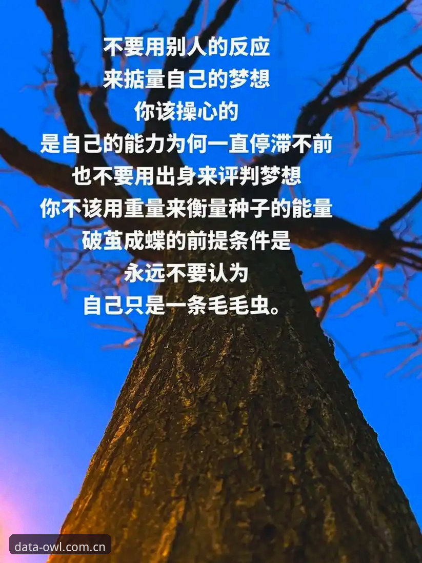 猫头鹰体育平台使用体验全方位评测教程：安全性与数据价值深度解析