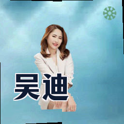 吴迪